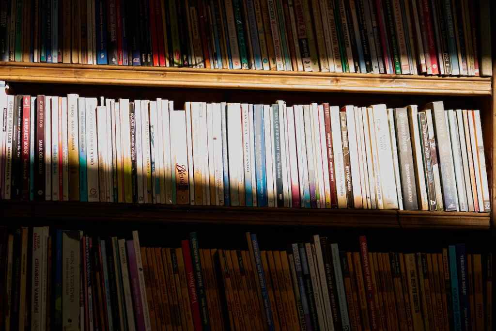 Shahrazad Shelves